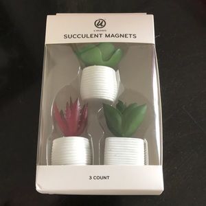 Succulent magnets